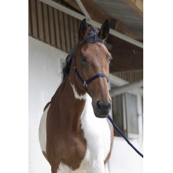 Set cavezza e lunghina Club Blu navy