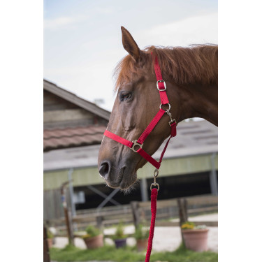 Set cavezza e lunghina Club Rosso