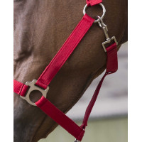 Set cavezza e lunghina Club Rosso Set cavezza e lunghina Club Rosso