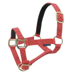Capestro in nylon foderato in cuoio Norton Rosso