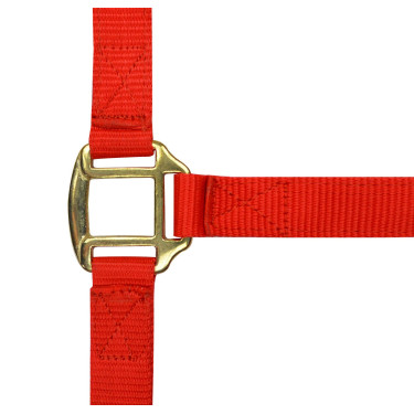 Capestro in nylon foderato in cuoio Norton Rosso