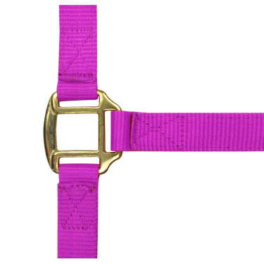 Capestro in nylon foderato in cuoio Norton Fucsia Rosa