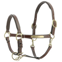 Capestro in cuoio grooming Eric Thomas Pro Avana Marrone