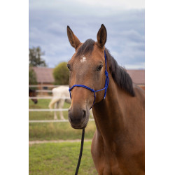 Capestro etologico morbido Blu reale