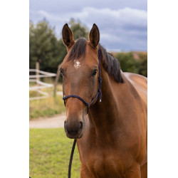 Capestro etologico morbido Blu navy Capestro etologico morbido Blu navy