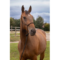 Capestro etologico morbido Nero