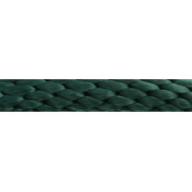 Lunga redine Norton Bright Verde