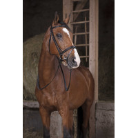 Redini in gomma Norton Pro Nero