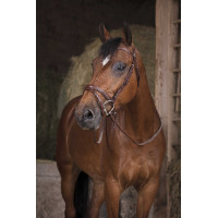 Redini in gomma Norton Pro Nero