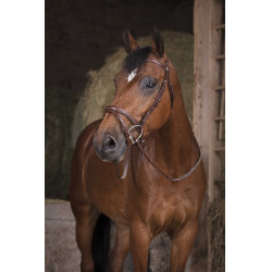 Redini in gomma Norton Pro Avana Marrone