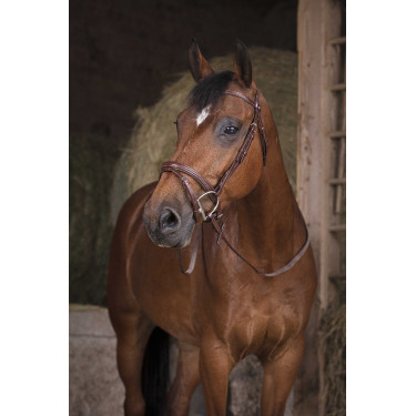 Redini in gomma Norton Pro Avana Marrone