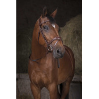 Redini cinghia Norton Pro Nero / bianco