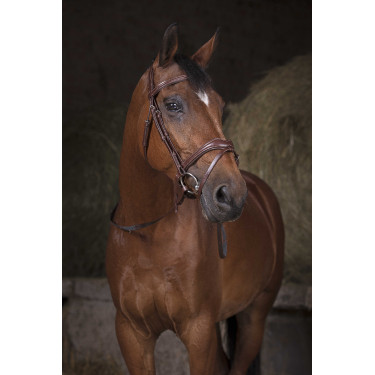 Redini cinghia Norton Pro