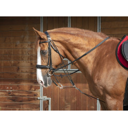 Gogue a carrucole Norton Pro Nero