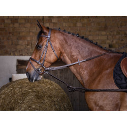 Redini ausiliarie in gomma Riding World Avana Marrone