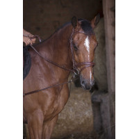 Redini ausiliarie elastiche corte / carrucole Norton Pro Avana Marrone