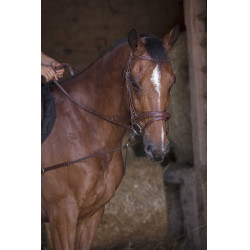 Redini ausiliarie elastiche corte / carrucole Norton Pro Avana Marrone