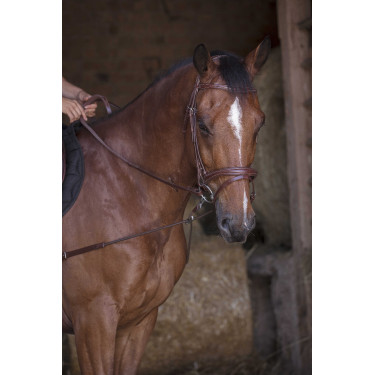 Redini ausiliarie elastiche corte / carrucole Norton Pro Avana Marrone