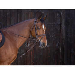 Gogue a carrucole Riding World Avana Marrone