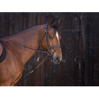 Gogue a carrucole Riding World Avana Marrone