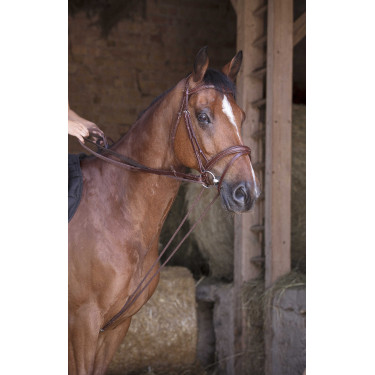 Redini tedesche in cuoio / corda Norton Pro Avana Marrone