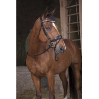 Redini grip Norton Pro Avana / marrone Redini grip Norton Pro Avana / marrone