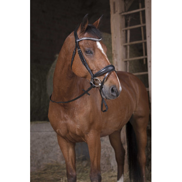 Redini grip Norton Pro Nero / nero