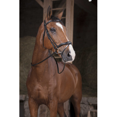 Redini Norton Pro Supergrip Nero