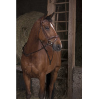 Redini cinghie con maniglie Norton Pro Avana Marrone