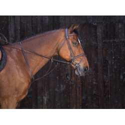 Martingala ad anelli Riding World Avana Marrone