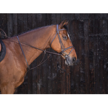 Martingala ad anelli Riding World Avana Marrone