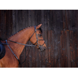 Martingala ad anelli Riding World Nero