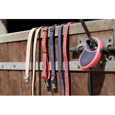 Guinzaglio in cuoio Diego & Louna per cane Naturale Marrone