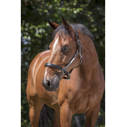 Capezza in cuoio Norton Pro Grooming Nero