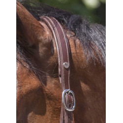 Capezza in cuoio Norton Pro Grooming Avana Marrone