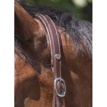 Capezza in cuoio Norton Pro Grooming Avana Marrone