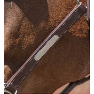 Capezza in cuoio Norton Pro Grooming Avana Marrone