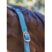 Capezza Norton Fluo foderato Blu