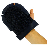 Guanto con spazzola + striglia Rosa