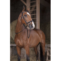 Redini Hunter Norton Pro 16 mm Nero