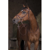 Redini Hunter Norton Pro 16 mm Avana Marrone