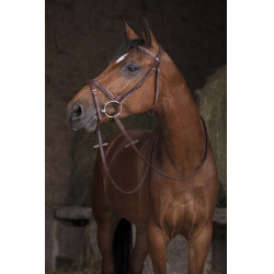 Redini Hunter Norton Pro 16 mm Avana Marrone