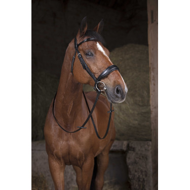 Redini Norton Pro 16 mm Nero