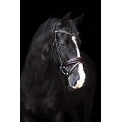 Briglia Impérial Riding Fria Borgogna Bordeaux