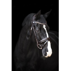Briglia Impérial Riding Fria Marrone Briglia Impérial Riding Fria Marrone