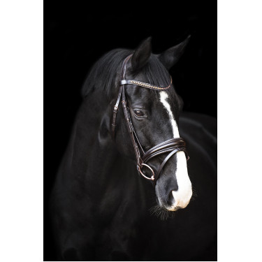 Briglia Impérial Riding Fria Marrone Briglia Impérial Riding Fria Marrone