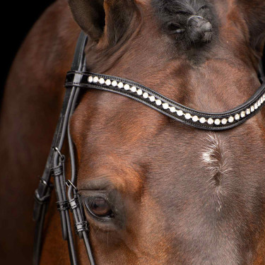 Bridon Impérial Riding Athena Nero