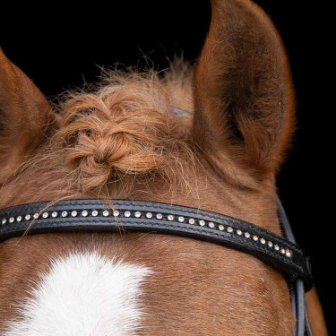 Briglia shetland Imperial Riding Stormy Nero / cristallo