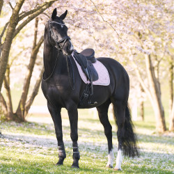 Sottosella Imperial Riding Lenny DR Quarzo Rosa