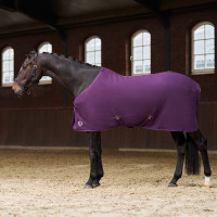 Coperta in pile Imperial Riding Fundamental Fico Viola